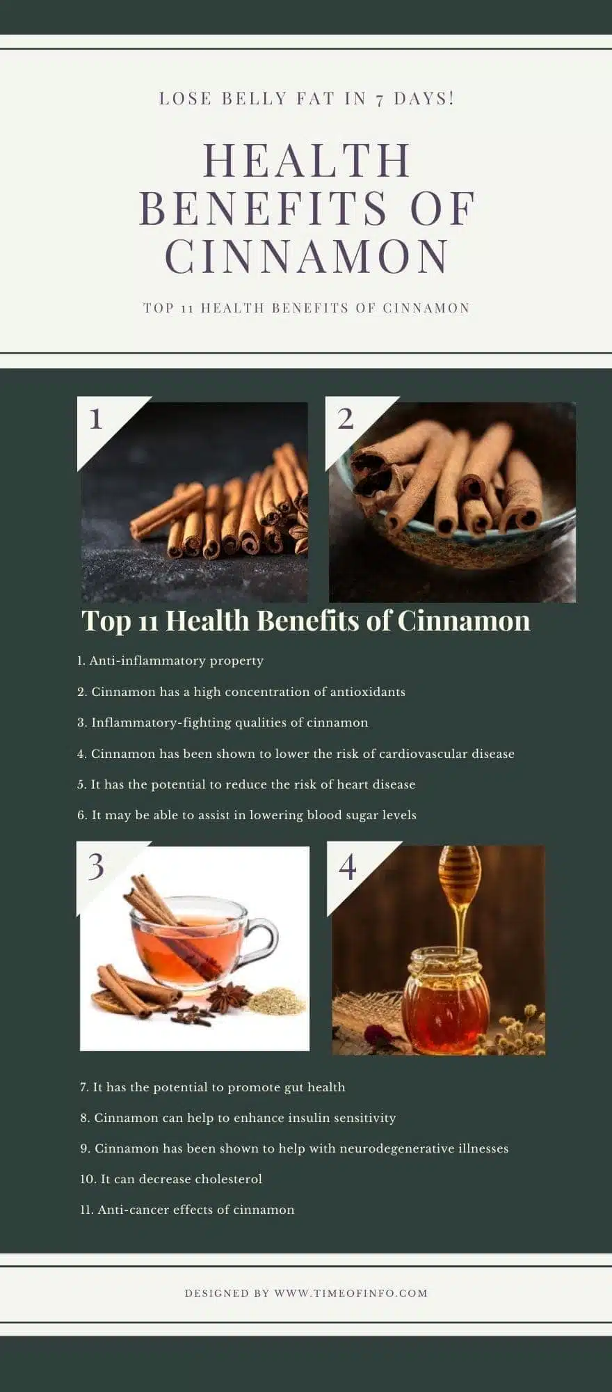 Health Benefits of Cinnamon Infographic