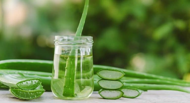 Aloe vera superfoods