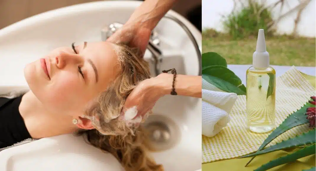 Aloe Vera for hair