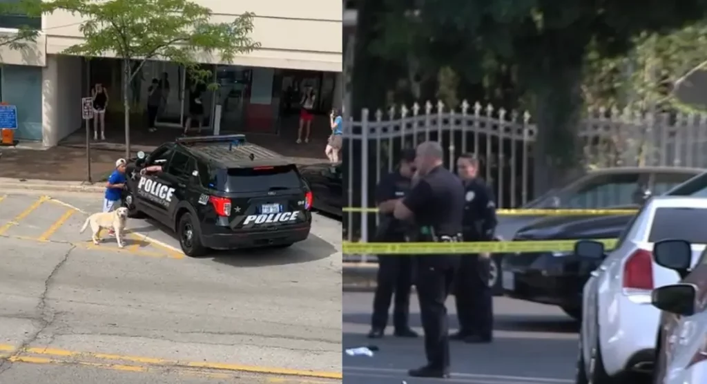 Highland Park Shooting