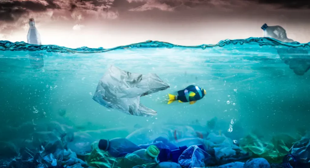 Human Pollution