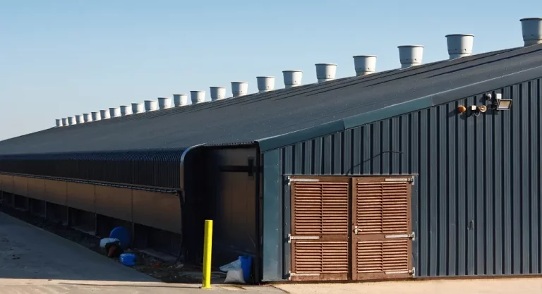 Agricultural Steel Farm Building