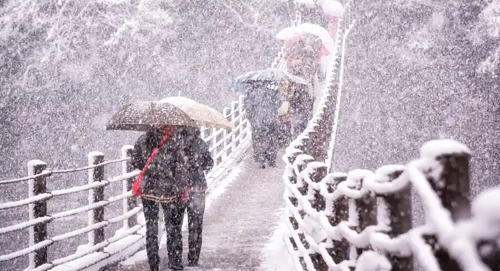 Snowfall Safety Tips