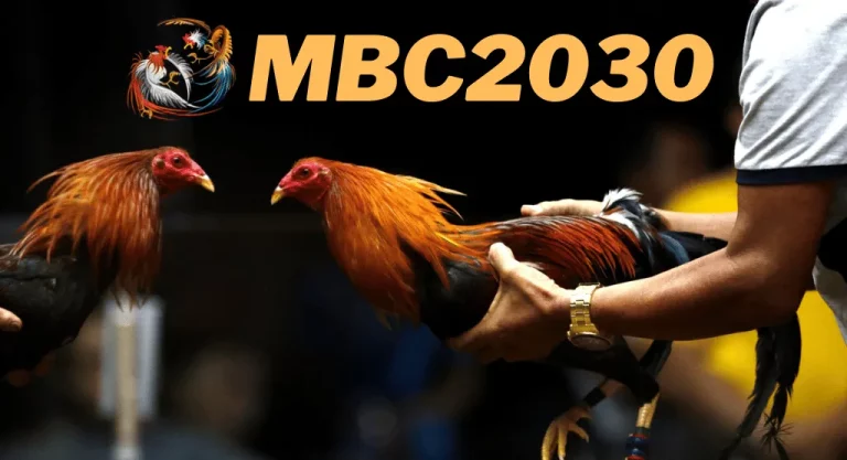 Mbc2030