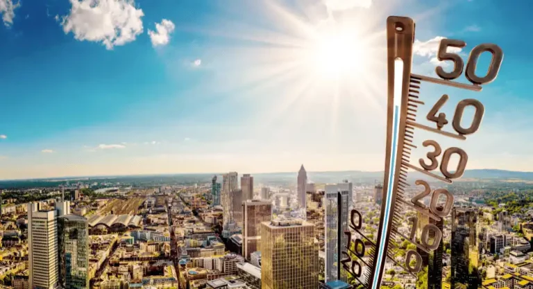 What to Do During Heat Waves