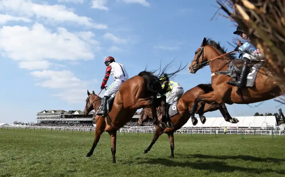 Horse Racing