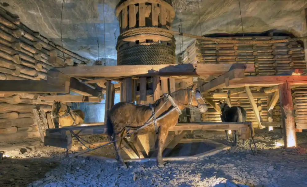 Auschwitz and Salt Mine Tour
