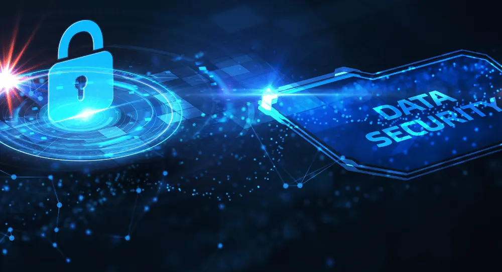 Data Security & Dark Web Evaluation