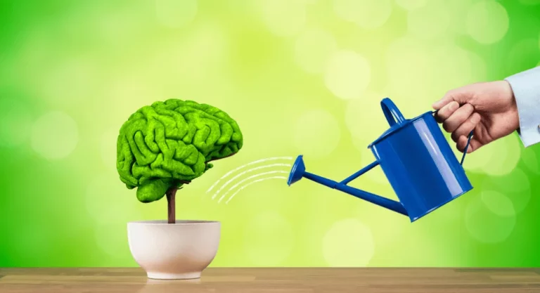 Brain and Memory