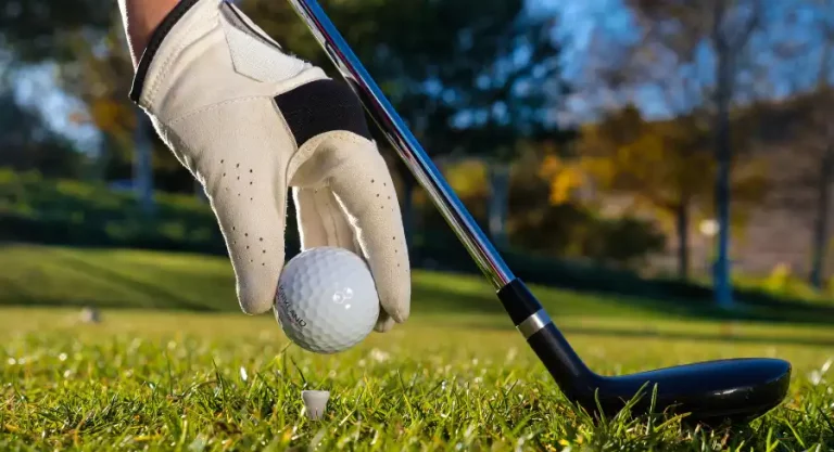 Golf Glove