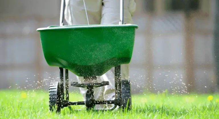 fertilizer lawn