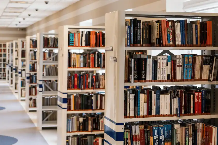 Accessible Literature