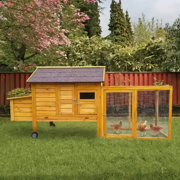 Chicken Coop