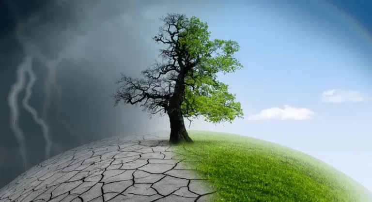 Climate Change Awareness