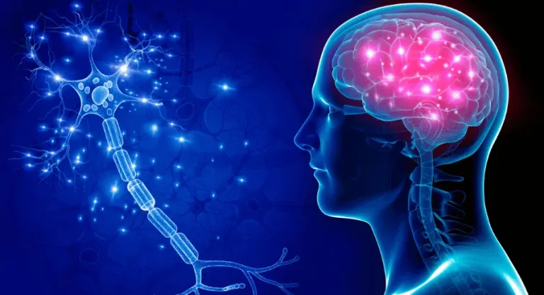 Psychedelic Brain