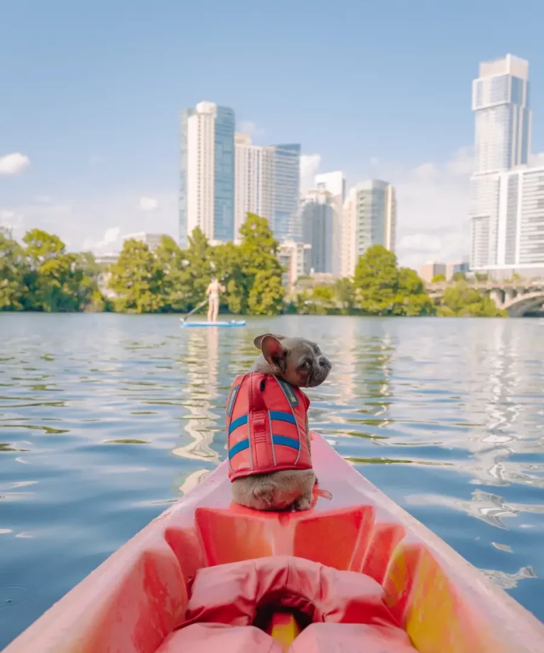Water Safety for Dogs