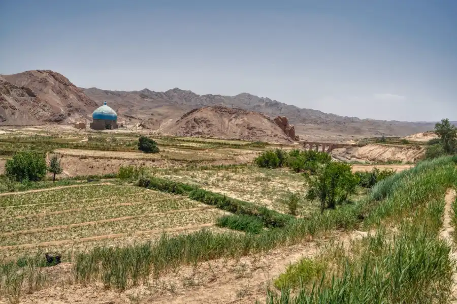 Iran agriculture