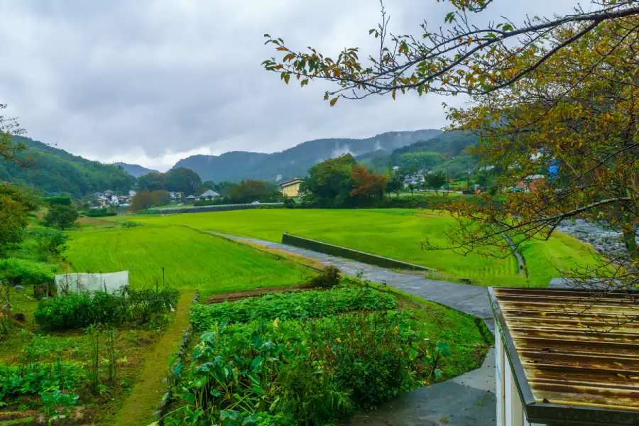 Japan agriculture