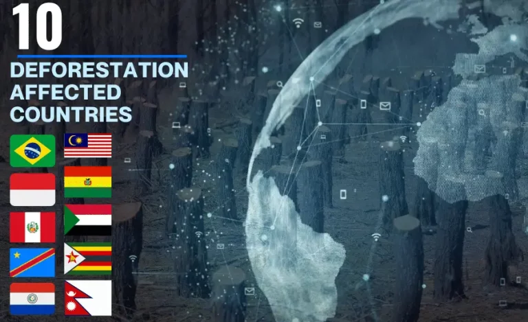 Ten Most Deforestation-Affected Countries in The World