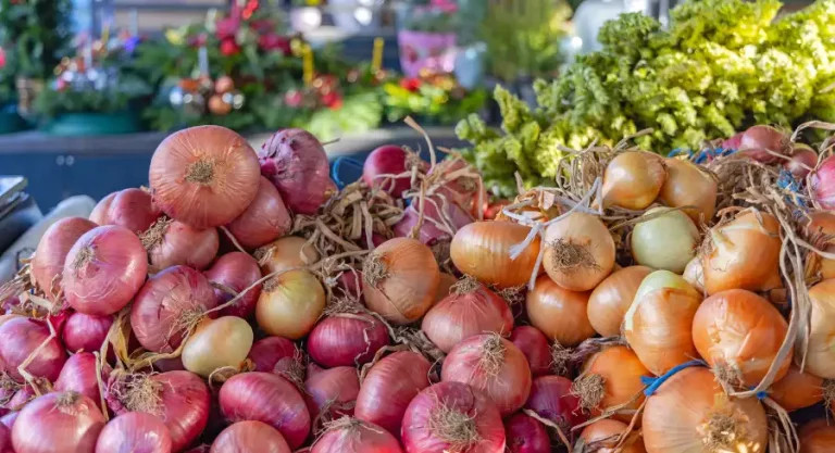 India bans onion exports