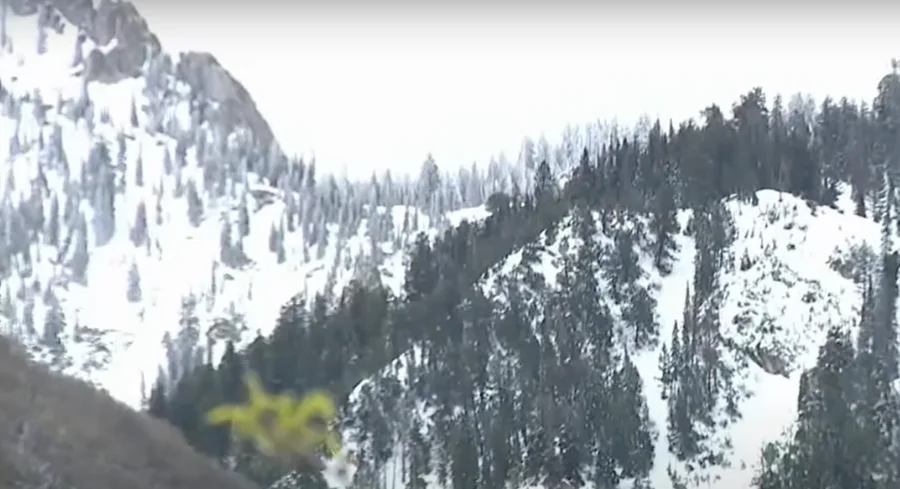 lone peak avalanche, lone peak avalanche Utah, lone peak Utah, avalanche vs stars last game, Utah avalanche today