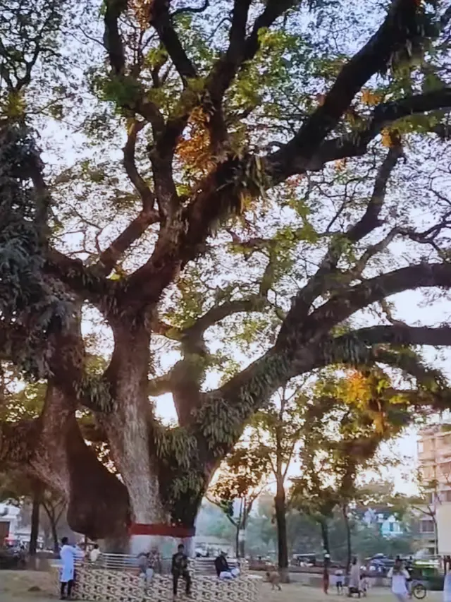 Sholakia Eidgah Kishoreganj