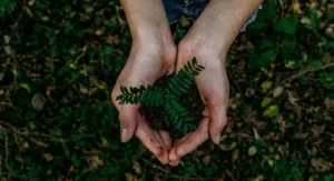Earth, What day is Earth Day, Earthday, earth day 2025 theme, earth day quotes, happy earth day 2025 images, is it Earth Day, doodle, is today Earth Day 2025
