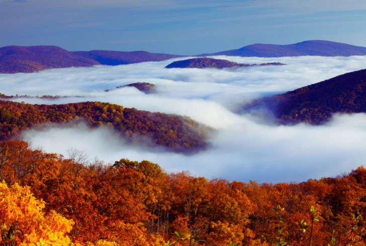 Fog drifts between mountain ridges covered in vibrant autumn foliage at Shenandoah National Park.