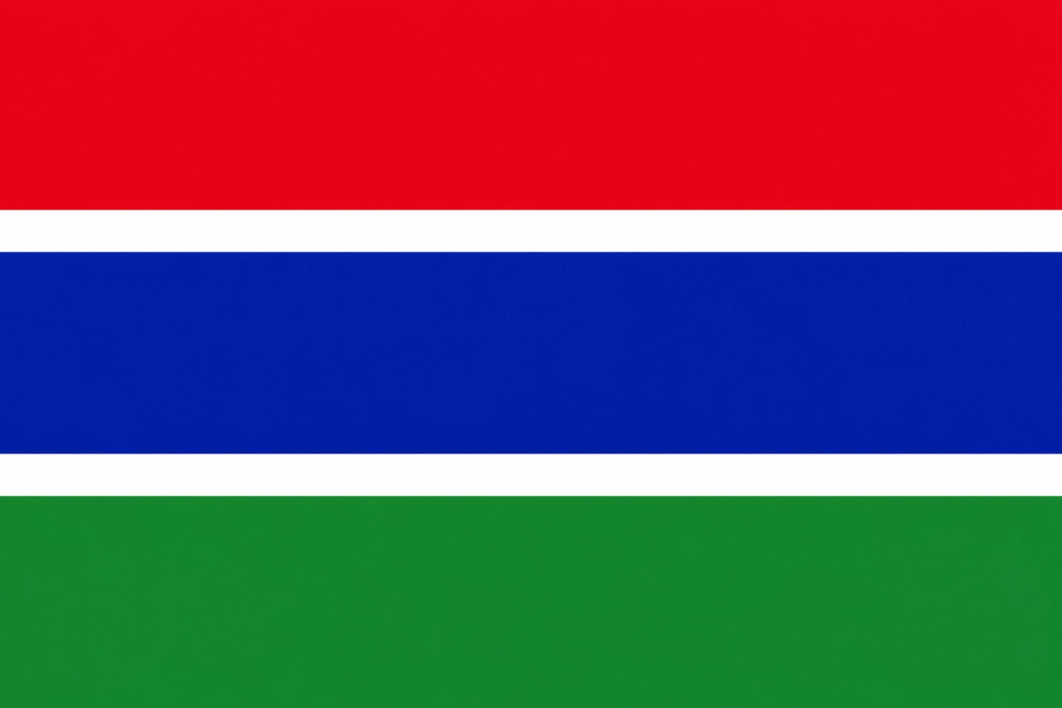 Flag of The Gambia
