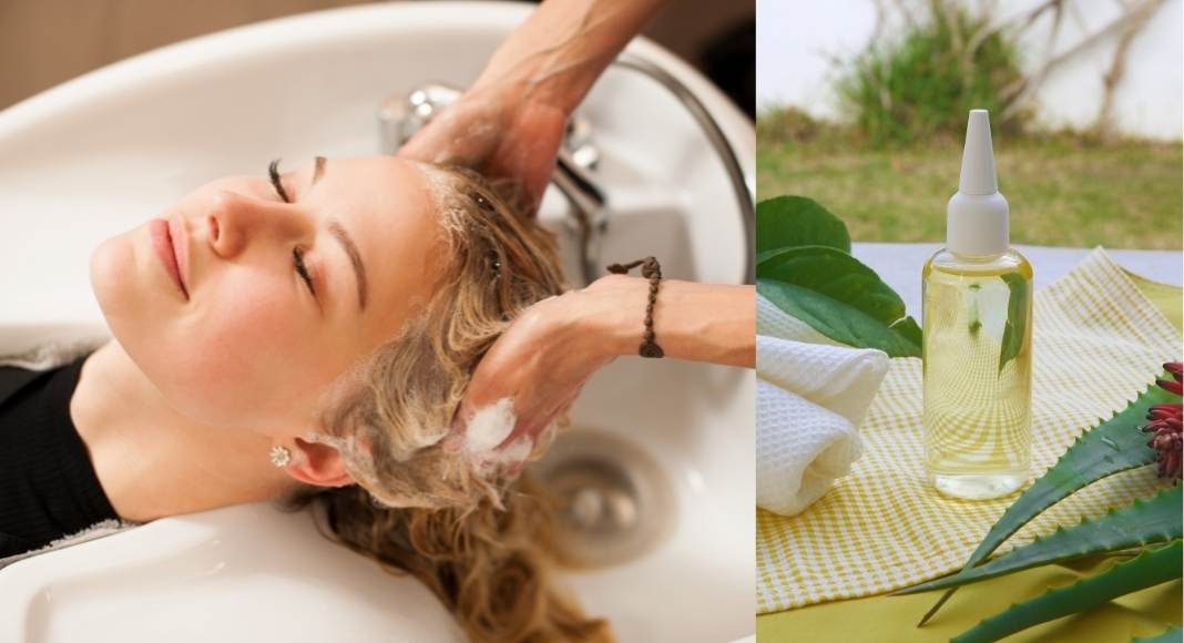 Aloe Vera for hair Aloe Vera for hair