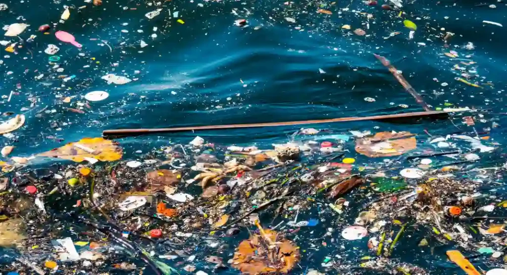 Contaminated Water