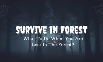 What To Do When You Are Lost In The Forest?